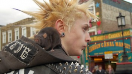 Noise punk - ��� ��  �����