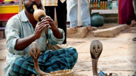 ������ �� ������ �����, � ��� ��� ������� ��� ������ ������������ ����