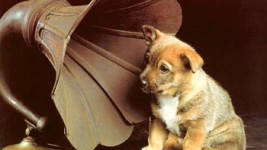 ��� �������� ������������ ������, ������� ��� ������?